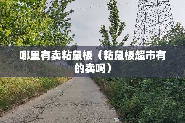 哪里有卖粘鼠板（粘鼠板超市有的卖吗）