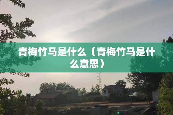 青梅竹马是什么（青梅竹马是什么意思）