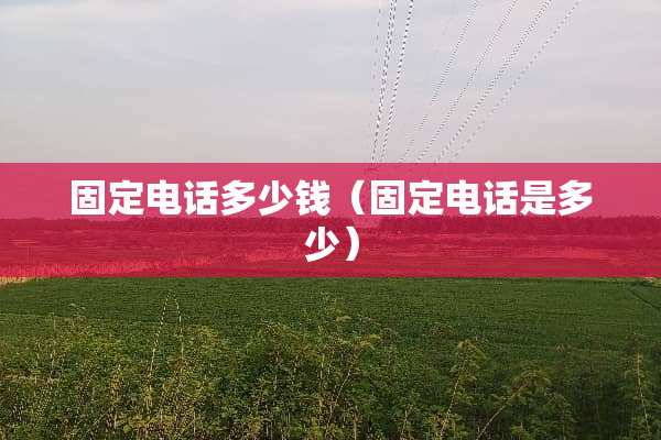 固定电话多少钱（固定电话是多少）