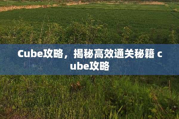 Cube攻略，揭秘高效通关秘籍 cube攻略