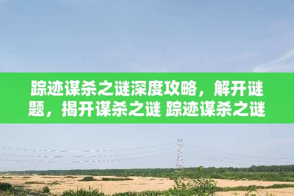 踪迹谋杀之谜深度攻略，解开谜题，揭开谋杀之谜 踪迹谋杀之谜攻略