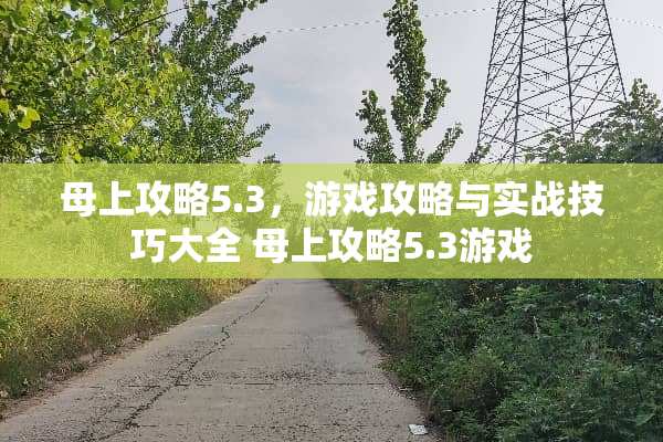 母上攻略5.3，游戏攻略与实战技巧大全 母上攻略5.3游戏