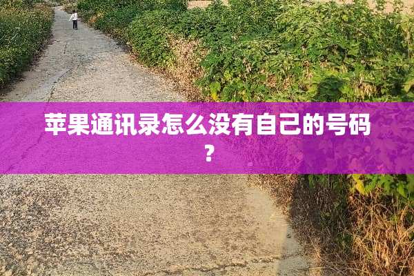 苹果通讯录怎么没有自己的号码？