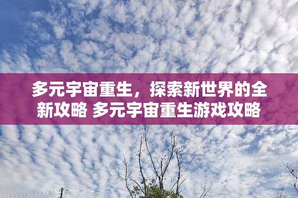 多元宇宙重生，探索新世界的全新攻略 多元宇宙重生游戏攻略
