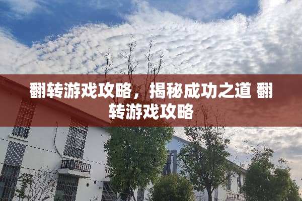翻转游戏攻略，揭秘成功之道 翻转游戏攻略