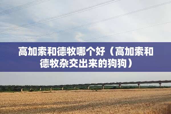 高加索和德牧哪个好（高加索和德牧杂交出来的狗狗）