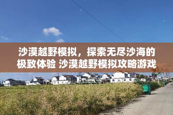 沙漠越野模拟，探索无尽沙海的极致体验 沙漠越野模拟攻略游戏