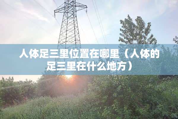 人体足三里位置在哪里（人体的足三里在什么地方）