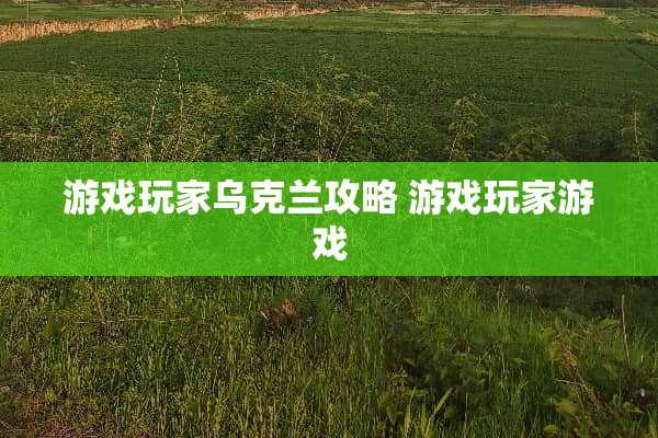 游戏玩家乌克兰攻略 游戏玩家游戏