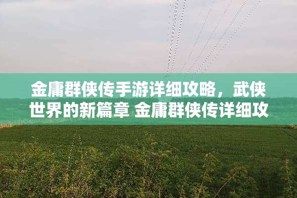 金庸群侠传手游详细攻略，武侠世界的新篇章 金庸群侠传详细攻略