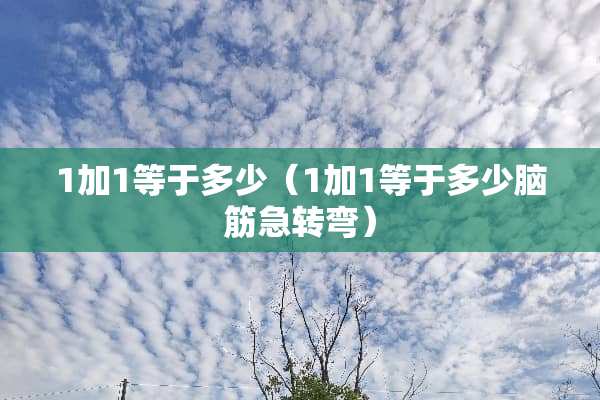 1加1等于多少（1加1等于多少脑筋急转弯）