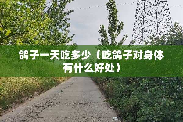 鸽子一天吃多少（吃鸽子对身体有什么好处）