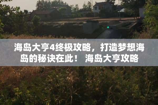 海岛大亨4终极攻略，打造梦想海岛的秘诀在此！ 海岛大亨攻略