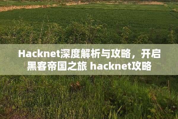 Hacknet深度解析与攻略，开启黑客帝国之旅 hacknet攻略