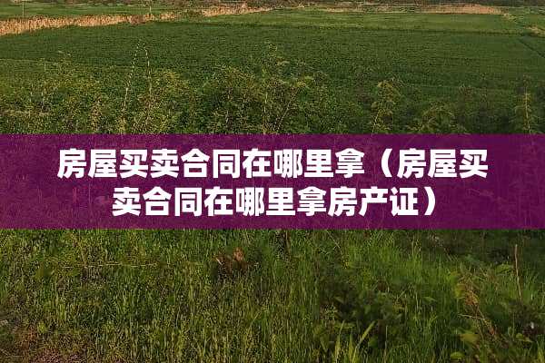 房屋买卖合同在哪里拿（房屋买卖合同在哪里拿房产证）