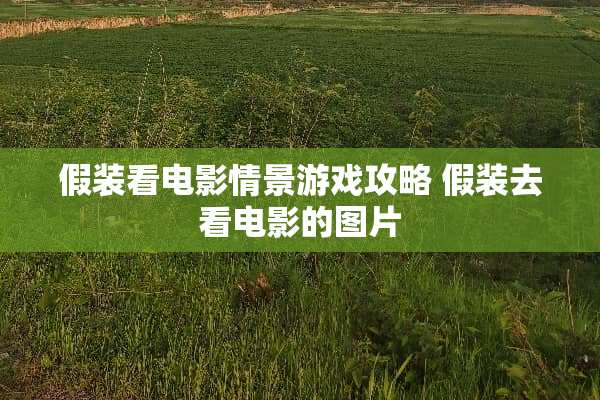 假装看电影情景游戏攻略 假装去看电影的图片