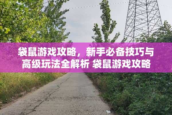 袋鼠游戏攻略，新手必备技巧与高级玩法全解析 袋鼠游戏攻略