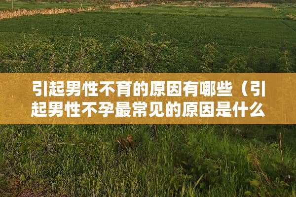 引起男性不育的原因有哪些（引起男性不孕最常见的原因是什么）