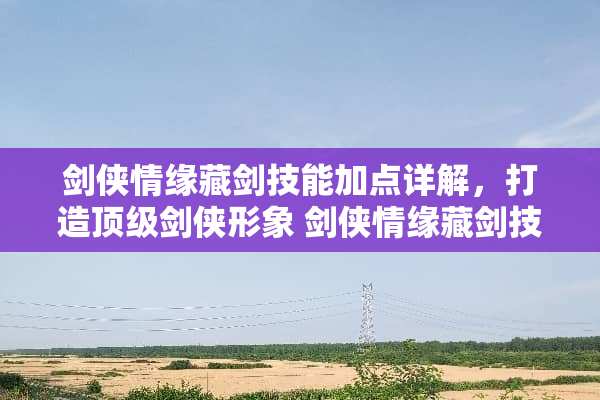 剑侠情缘藏剑技能加点详解，打造**剑侠形象 剑侠情缘藏剑技能加点