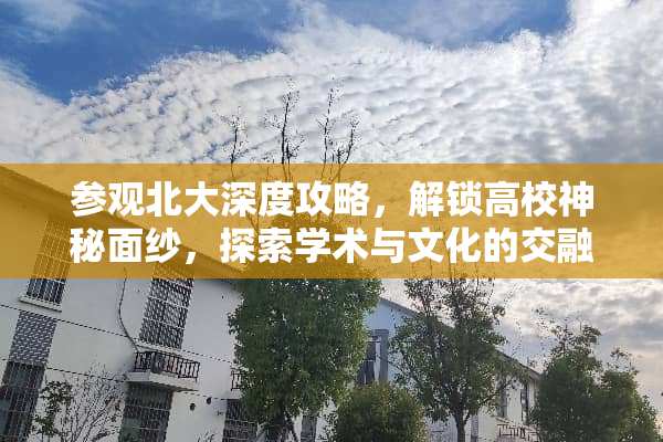 参观北大深度攻略，解锁高校神秘面纱，探索学术与文化的交融 参观北大攻略