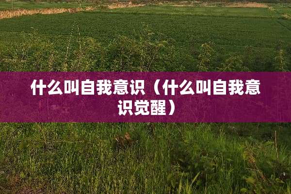 什么叫自我意识（什么叫自我意识觉醒）