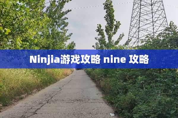 Ninjia游戏攻略 nine 攻略