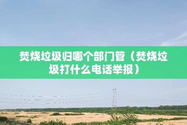 焚烧垃圾归哪个部门管（焚烧垃圾打什么电话举报）