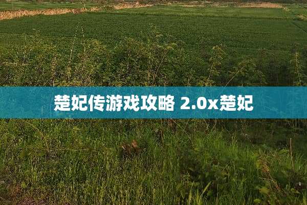 楚妃传游戏攻略 2.0x楚妃