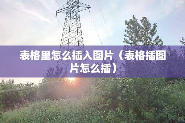 表格里怎么插入图片（表格插图片怎么插）