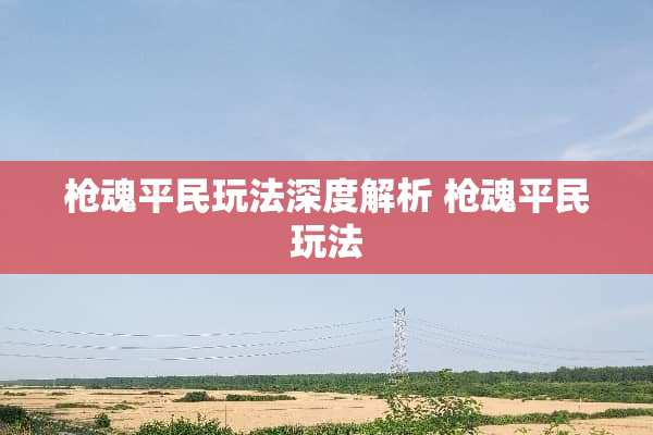 *魂平民玩法深度解析*魂平民玩法