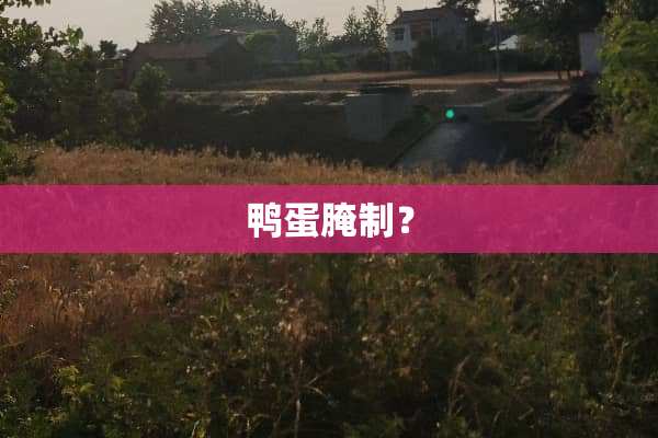 鸭蛋腌制？