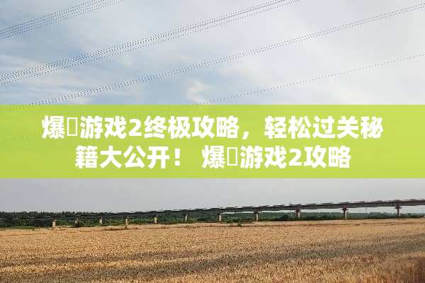 爆囧游戏2终极攻略，轻松过关秘籍大公开！ 爆囧游戏2攻略