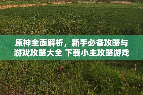 原神全面解析，新手必备攻略与游戏攻略大全 下载小主攻略游戏大全