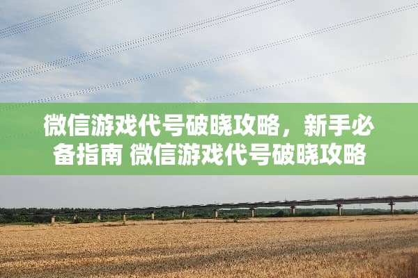 微信游戏代号破晓攻略，新手必备指南 微信游戏代号破晓攻略
