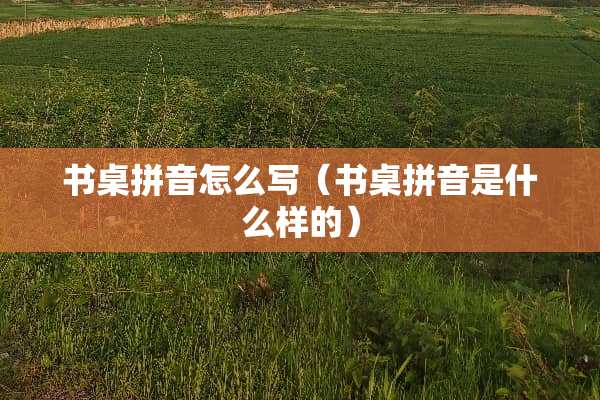 书桌拼音怎么写（书桌拼音是什么样的）