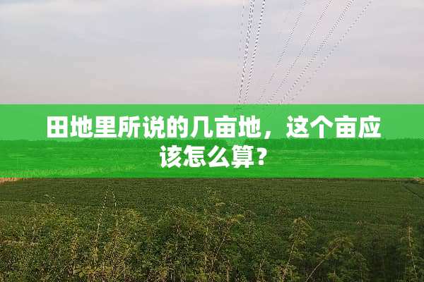 田地里所说的几亩地，这个亩应该怎么算？