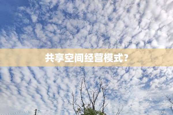 共享空间经营模式？