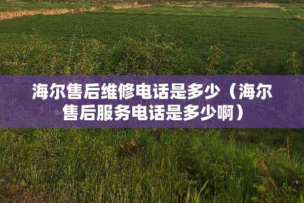 海尔售后维修电话是多少（海尔售后服务电话是多少啊）