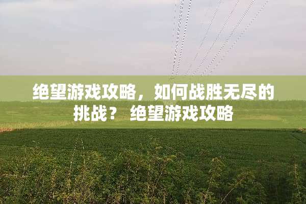 绝望游戏攻略，如何战胜无尽的挑战？ 绝望游戏攻略