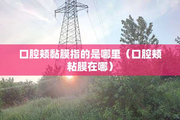 口腔颊黏膜指的是哪里（口腔颊粘膜在哪）