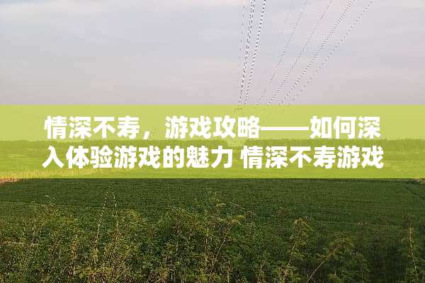 情深不寿，游戏攻略——如何深入体验游戏的魅力 情深不寿游戏攻略