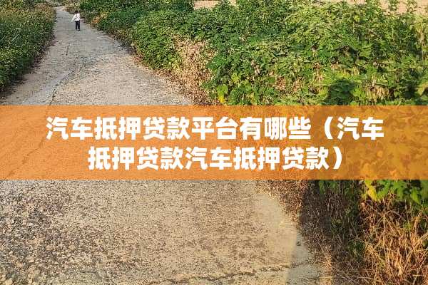 汽车抵押贷款平台有哪些（汽车抵押贷款汽车抵押贷款）