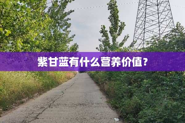紫甘蓝有什么营养价值？