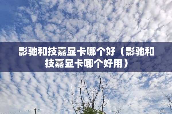 影驰和技嘉显卡哪个好（影驰和技嘉显卡哪个好用）