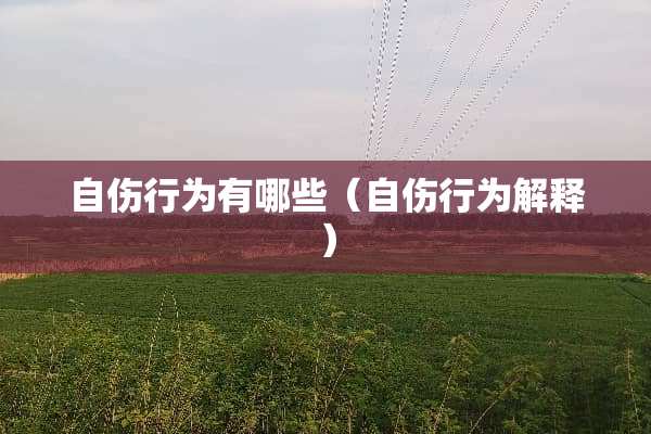自伤行为有哪些（自伤行为解释）
