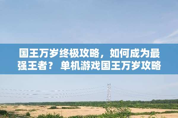 国王万岁终极攻略，如何成为最强王者？ 单机游戏国王万岁攻略