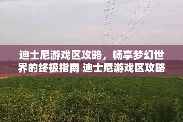 迪士尼游戏区攻略，畅享梦幻世界的终极指南 迪士尼游戏区攻略