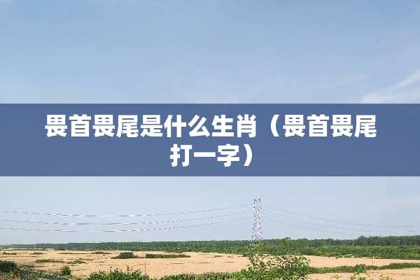 畏首畏尾是什么生肖（畏首畏尾打一字）