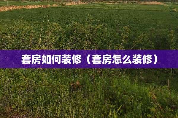 套房如何装修（套房怎么装修）