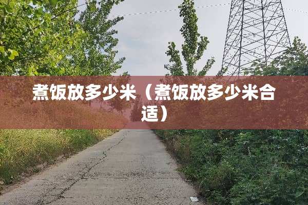 煮饭放多少米（煮饭放多少米合适）